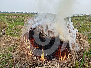 straw burning in the fields photo