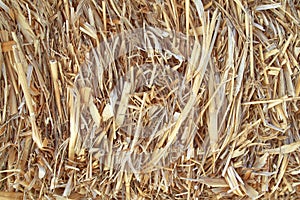 Straw closeup