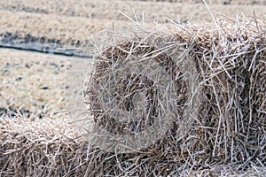 Straw closeup