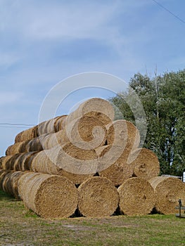 Straw at the countryside photo