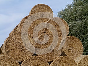 Straw at the countryside photo