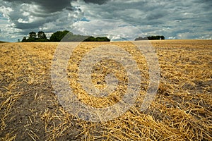 Straw in the field after haymaking and rain clouds