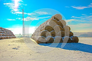 Straw Fodder Bales in Winter