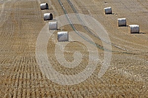 Straw on a grainfield