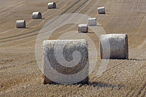 Straw on a grainfield