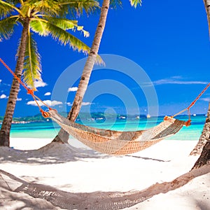 Straw hammock in the shadow of palm on tropical