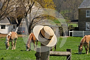 Straw hat with Amish farm in the background