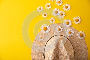 straw hat and daisies around