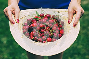 Straw hat full of freshly picked sweet cherries