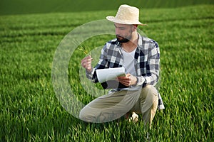 In straw hat. Holding wheat and notepad. Handsome young man is on agricultural field