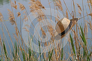 Straw hat in the reeds at the lake