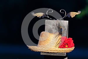 Straw hat standing on a wooden panel with a red rose