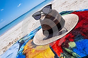 Straw hat, sun glasses and flip flops on a tropical beach