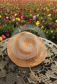 Straw hat and tulip flowers