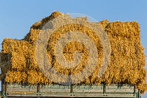 Straw hay bales on a trailer