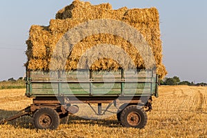 Straw hay bales on a trailer