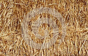 Straw or hay close up background