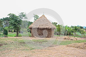 Straw house , village hut