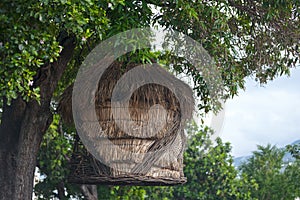 Straw hut hanging from a tree