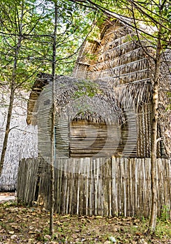 Straw Hut for Vacations