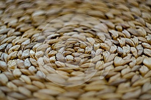 Straw mat texture with shallow depth of field close up view