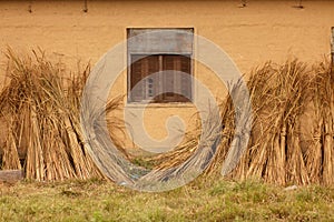 Straw on mud wall