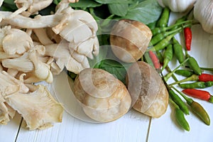 Straw mushroom and Angel mushroom with Chilli Padi, Garlic and Basil leaf