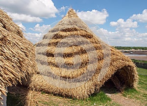 Straw Neolithic Houses