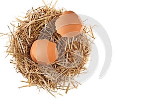 Straw nest with broken chicken eggshell