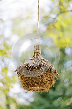 Straw nest with a roof hanging on a rope on a tree branch in the park