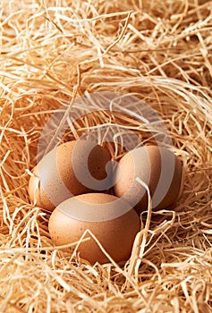 Straw nest with three brown eggs