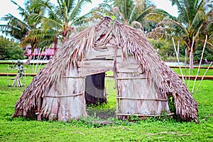 Straw palm leaves and reeds in traditional indian village Boca de Guama Nature Reserve photo