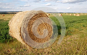 Straw piles