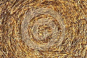 Straw pressed in a round bale