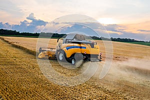 Straw reaper mows dry plant stems into windrows on farm field