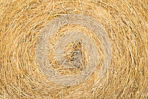 Straw roll background texture, close-up