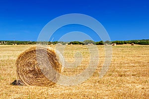 Straw roll bale