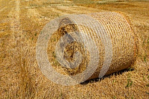 Straw roll bale