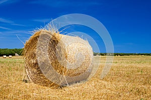 Straw roll bale