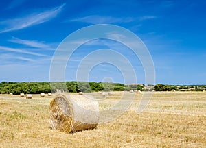 Straw roll bale on the farmland