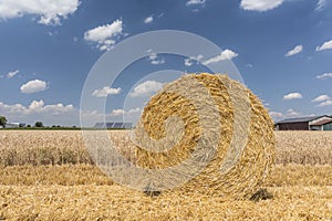 Straw roll bales with crop field, photovoltaic panel and blue sky in background