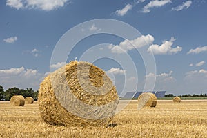 Straw roll bales with crop field, photovoltaic panel and blue sky in background