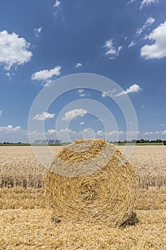 Straw roll bales with crop field, photovoltaic panel and blue sky in background