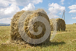 Straw roll bales in harvested field at the daytime