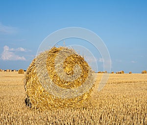 Straw roll on the field