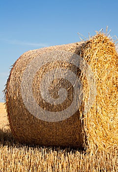 Straw roll on the field