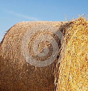 Straw roll on the field