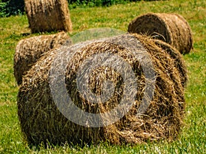 Straw rolls on the berde grass