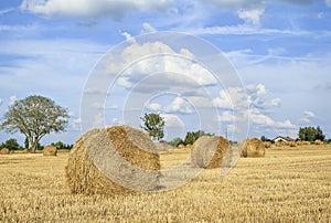 Straw rolls on harvested field, central France