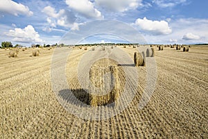 Straw rolls on harvested field